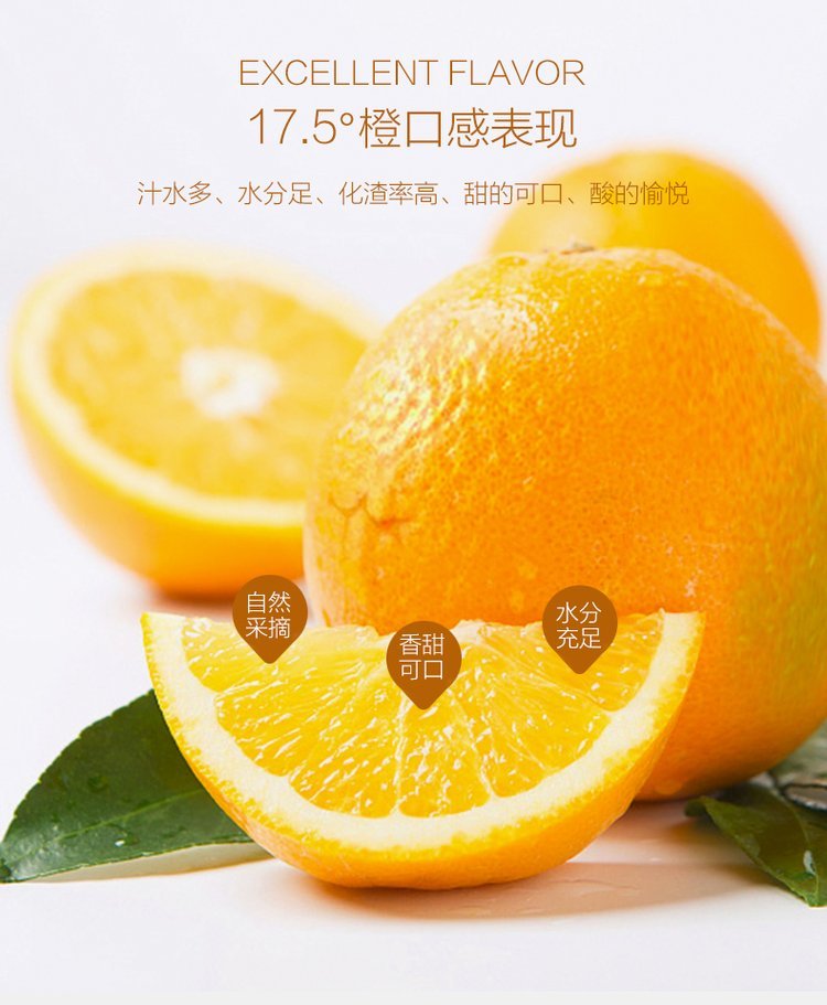 精品纽荷尔脐橙原产地现摘现发 橙子一级果产地直发_b24afabe.jpg