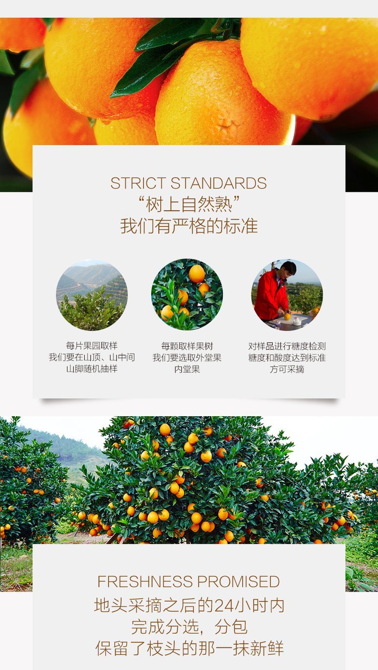 精品纽荷尔脐橙原产地现摘现发 橙子一级果产地直发_f6730ee6.jpg