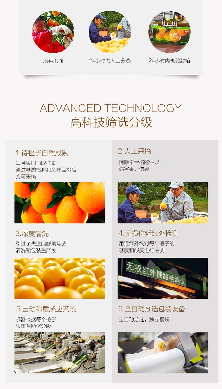 精品纽荷尔脐橙原产地现摘现发 橙子一级果产地直发_03b94001.jpg
