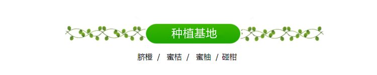 精品纽荷尔脐橙原产地现摘现发 橙子一级果产地直发_acabfecf.jpg