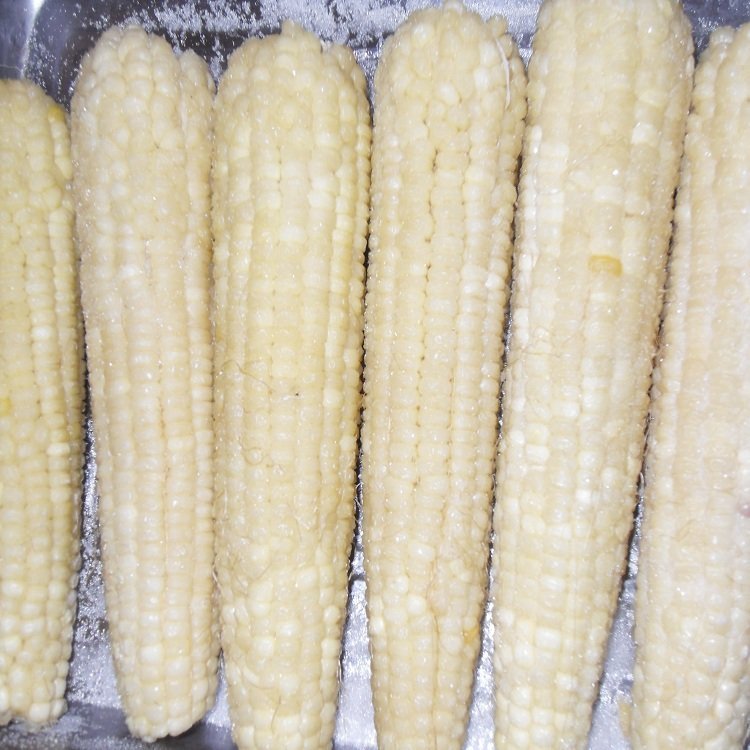 速冻甜玉米 水果玉米 冷冻新鲜蔬菜沙拉用 鲜食玉米段_a5775702.jpg