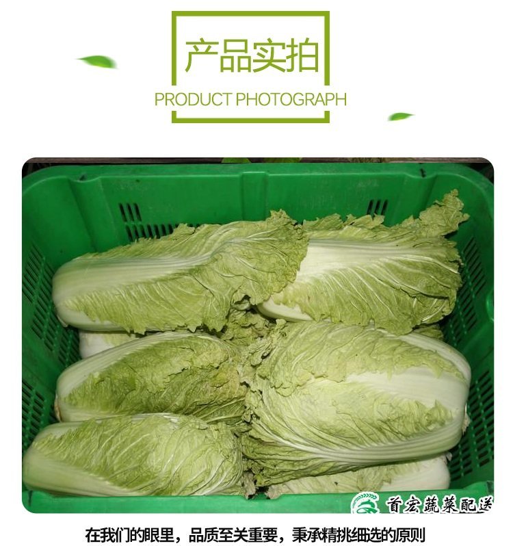 菜篮子配送，新鲜蔬果，选首宏蔬菜配送服务_ad3fae97.jpg