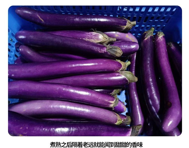 菜篮子配送，新鲜蔬果，选首宏蔬菜配送服务_ee62910e.jpg