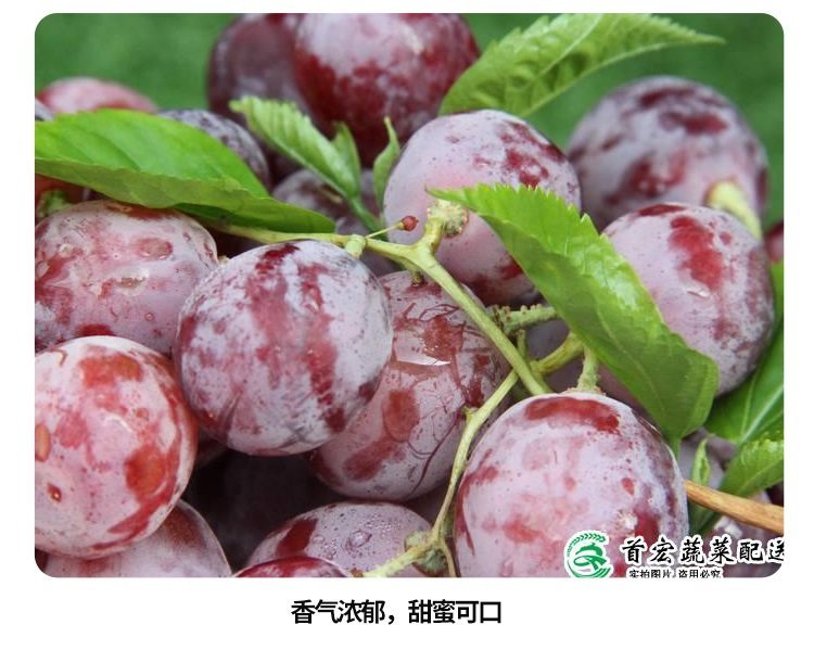 菜篮子配送，新鲜蔬果，选首宏蔬菜配送服务_29bf41eb.jpg