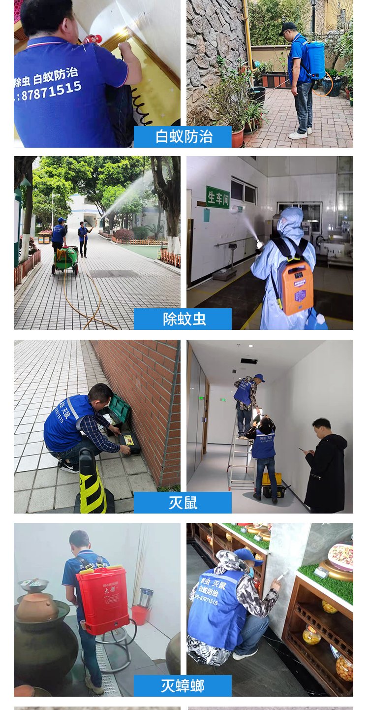 白蚁防治服务 乐士佳有害生物防治 地下室住宅害虫灭杀 均可预防.jpg
