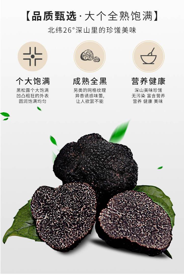 彝山香批发云南新鲜松露 块菌 猪拱菌3-9CM供应_0ecbe1cc.jpg