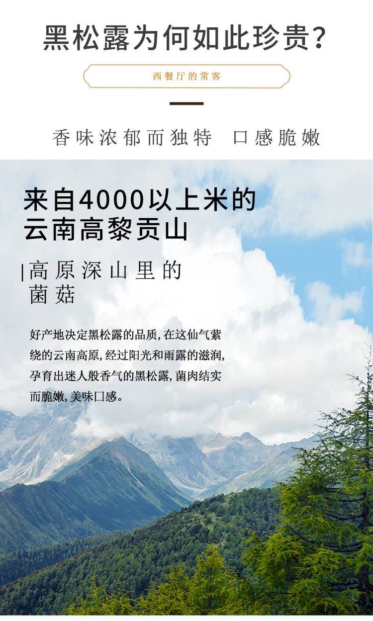 彝山香批发云南新鲜松露 块菌 猪拱菌3-9CM供应_c437dcbc.jpg