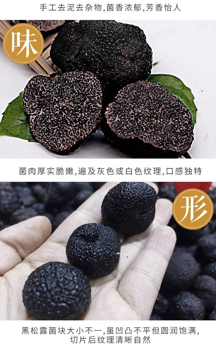 彝山香批发云南新鲜松露 块菌 猪拱菌3-9CM供应_ffd94997.jpg