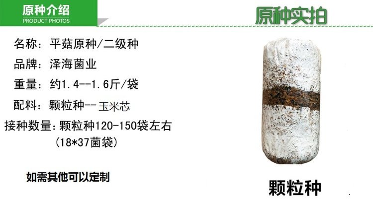 优质白灵菇 食用菌母种原种 栽培种出菇菌包 一级种二级种三级种_3242640d.jpg