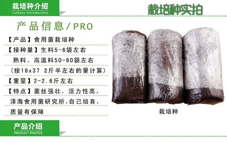 优质白灵菇 食用菌母种原种 栽培种出菇菌包 一级种二级种三级种_d0b0c55d.jpg