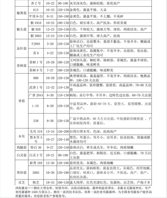 优质白灵菇 食用菌母种原种 栽培种出菇菌包 一级种二级种三级种_7fda25f4.jpg