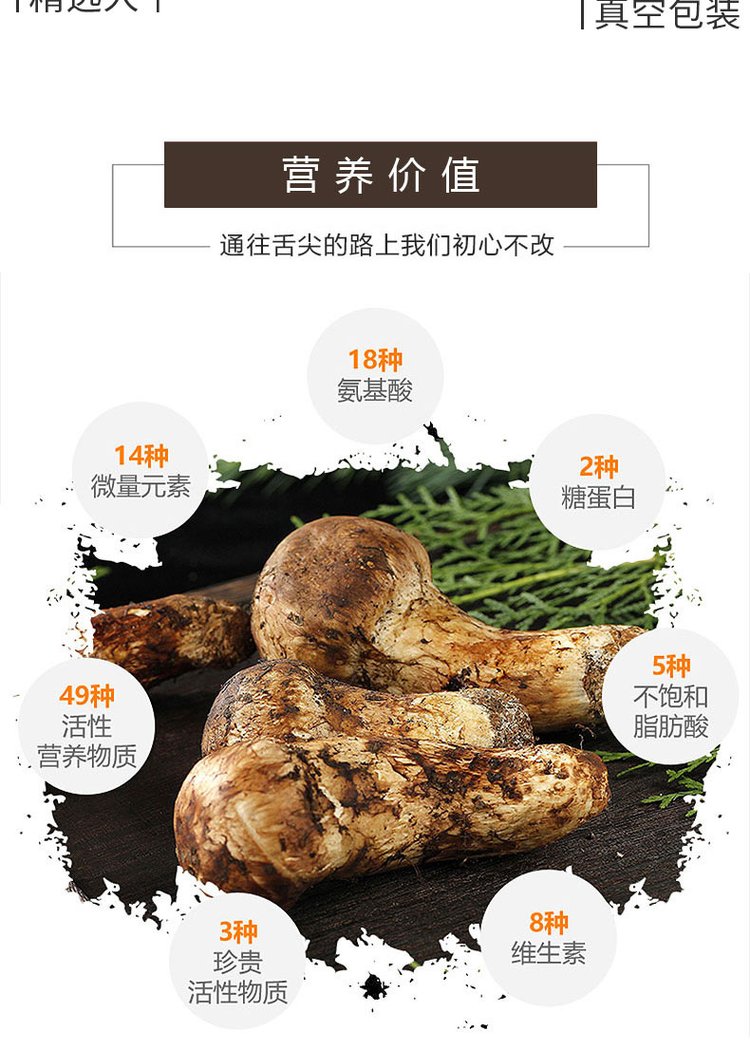 菌状元特产新鲜食用姬松茸巴西菇干货批发原色鸡松茸_61634850.jpg