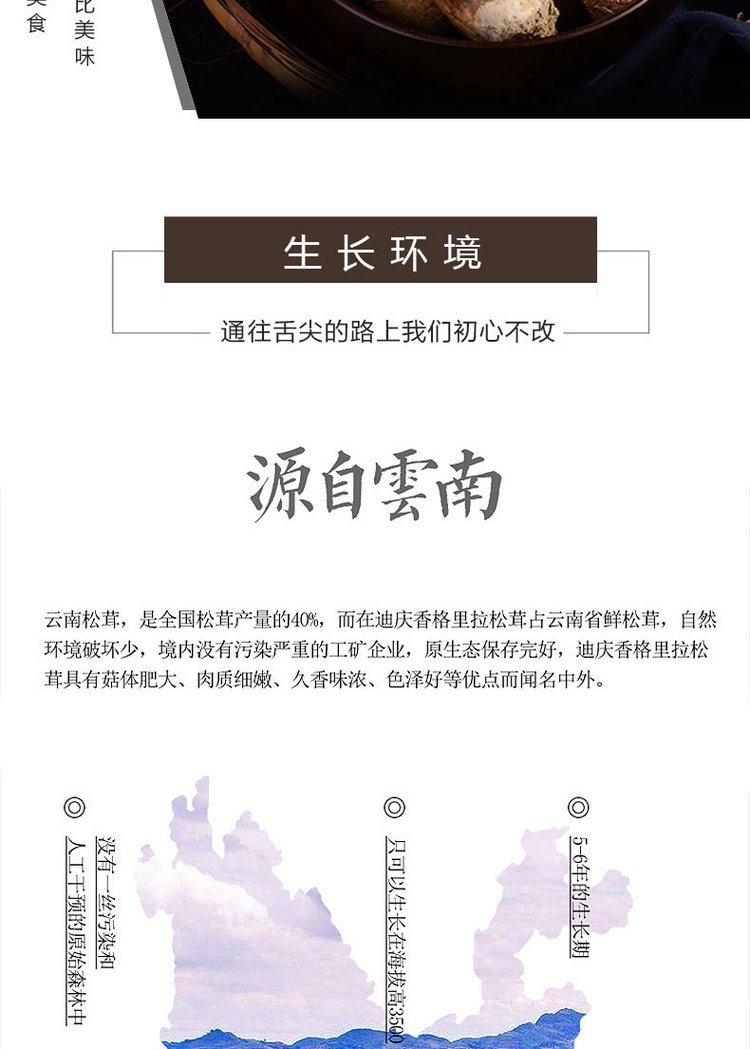 菌状元特产新鲜食用姬松茸巴西菇干货批发原色鸡松茸_ab0d41b4.jpg
