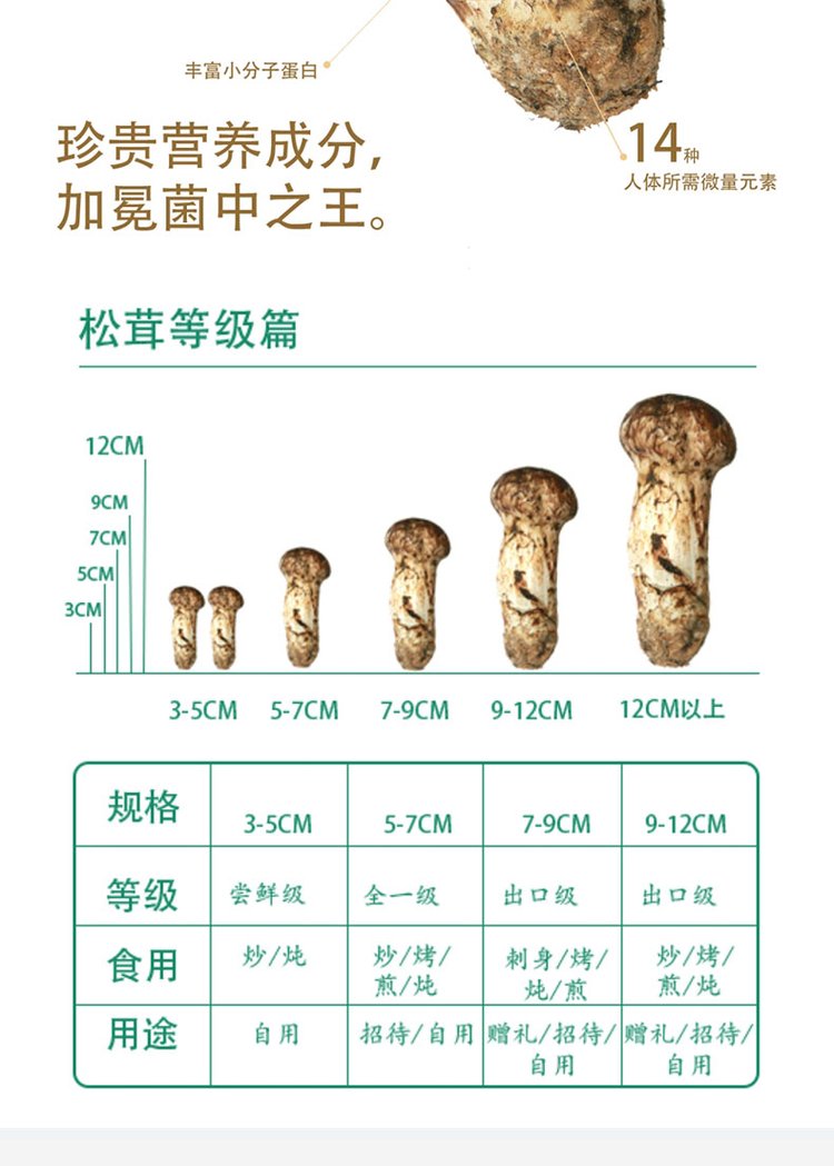菌状元特产新鲜食用姬松茸巴西菇干货批发原色鸡松茸_3ad5ad46.jpg