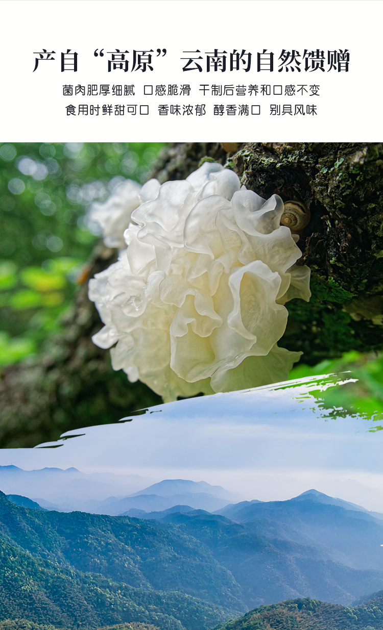 银耳 彤菌堂干货 60g 糯耳汤羹食材 免手撕无硫袋装_9b8542ce.png