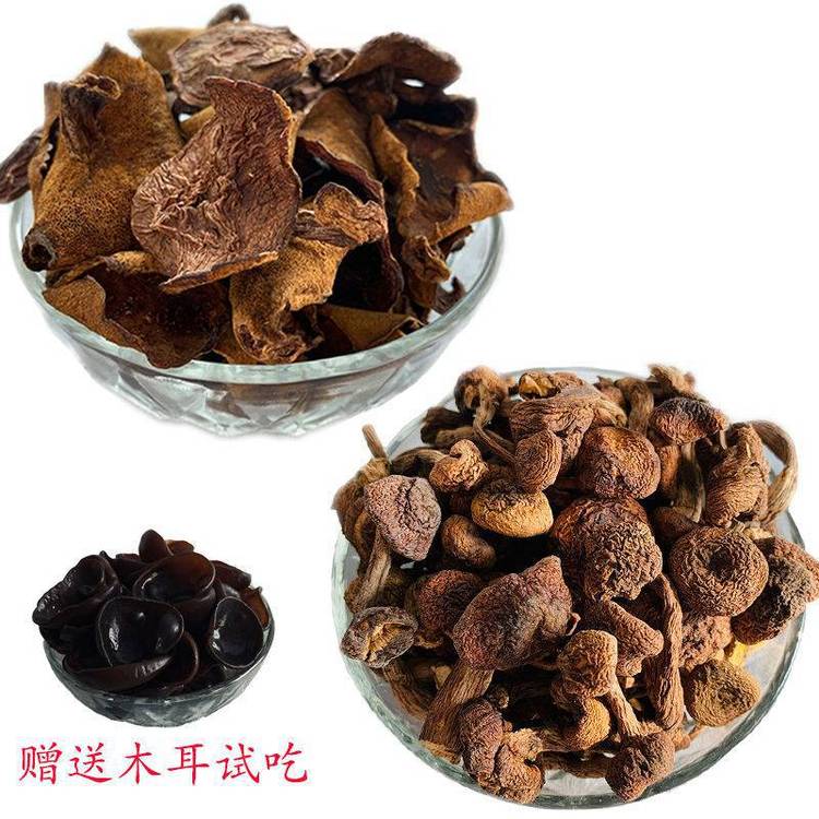 野生人采摘元蘑 一件代发 榛蘑东北野生蘑菇 农家野菜_35af619a.jpg