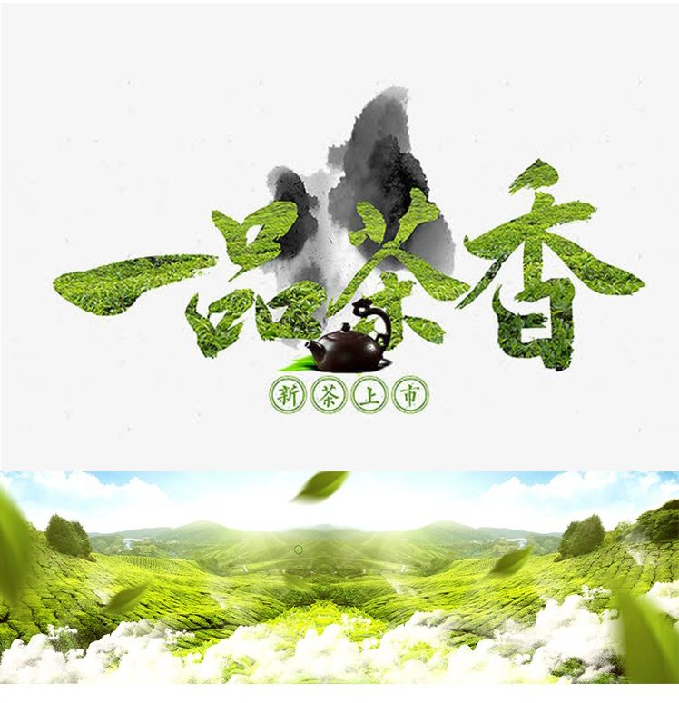 天豪源 豪韵陈年铁观音250g 茶叶礼盒装过年过节送礼佳品_daea0556.jpg
