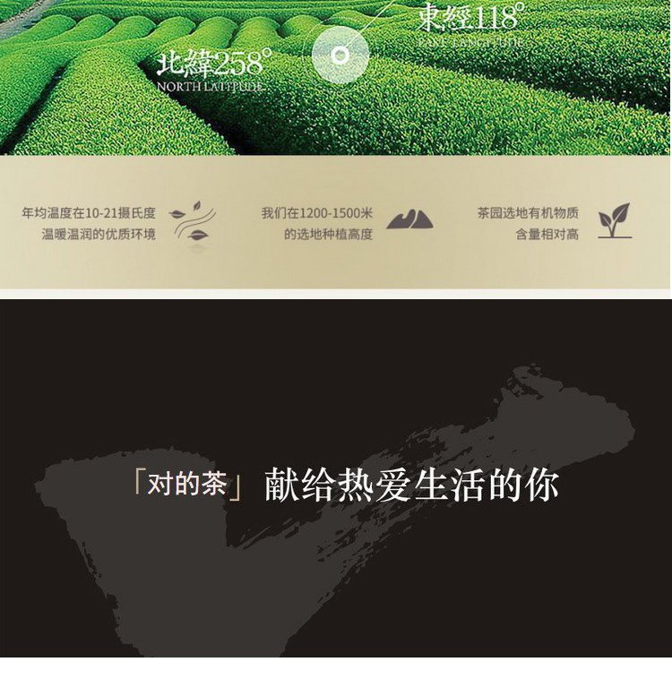 天豪源 豪韵陈年铁观音250g 茶叶礼盒装过年过节送礼佳品_a47d1f97.jpg