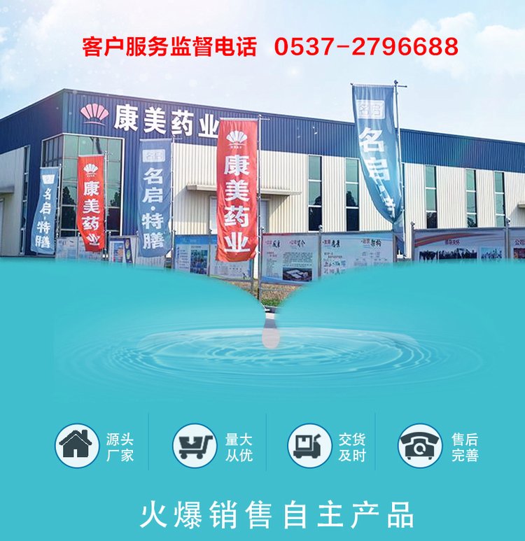蒲公英苦丁茶 一站式代工服务 植物饮品 包装定制_69ef8cd2.jpg