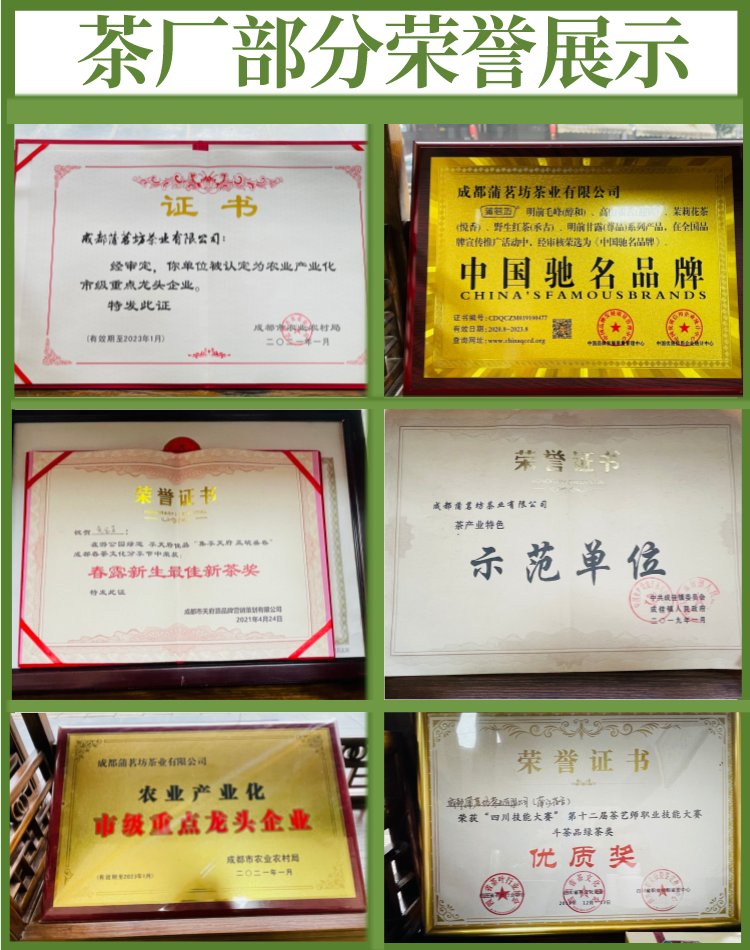 2022年新茶 蒲茗坊 明前头采嫩芽 茉莉花茶 蒙顶山散装飘雪 _4903e137.jpg