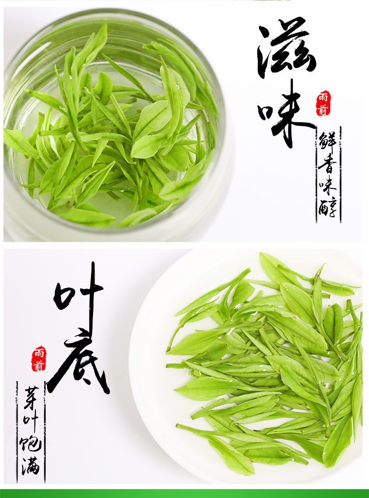 安吉白茶 清明前采摘一级茶 明前茶香醇浓郁 回味香甜 馈赠佳品_a1f8d4b4.jpg