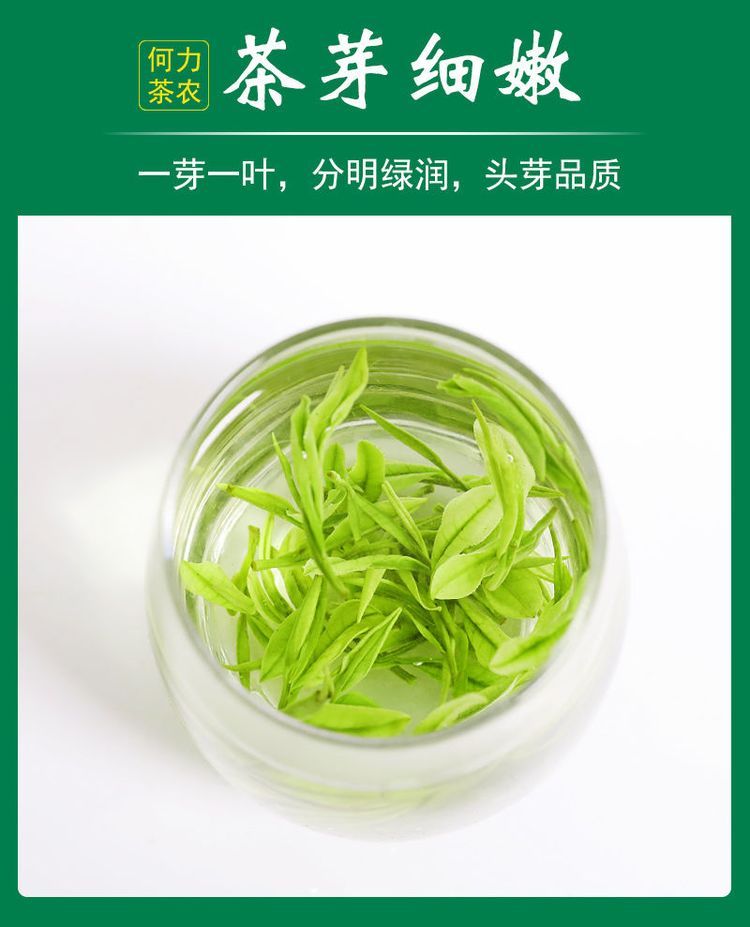 安吉白茶 清明前采摘一级茶 明前茶香醇浓郁 回味香甜 馈赠佳品_de5ba3f9.jpg