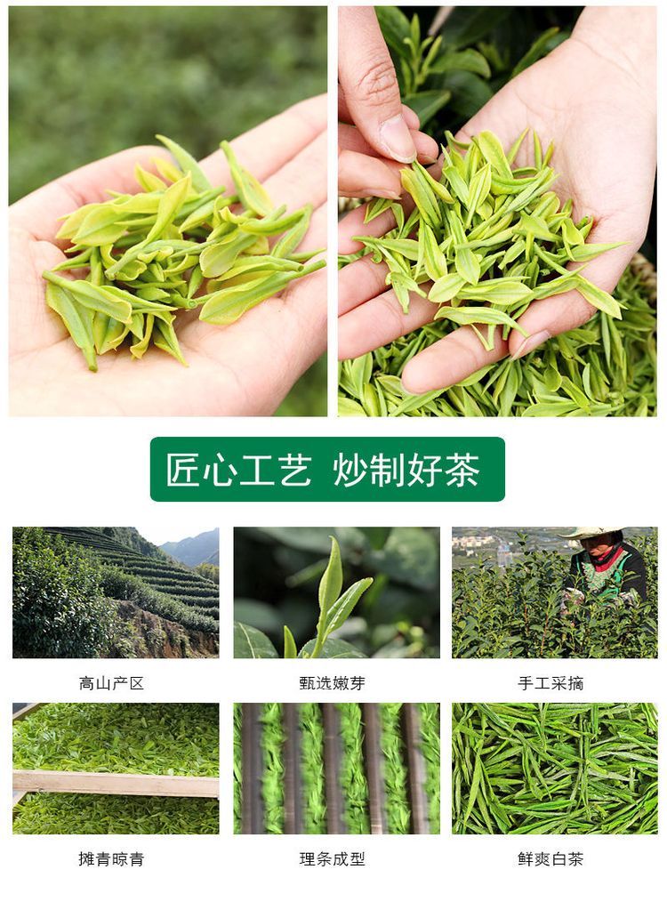 安吉白茶 清明前采摘一级茶 明前茶香醇浓郁 回味香甜 馈赠佳品_6e9738ac.jpg