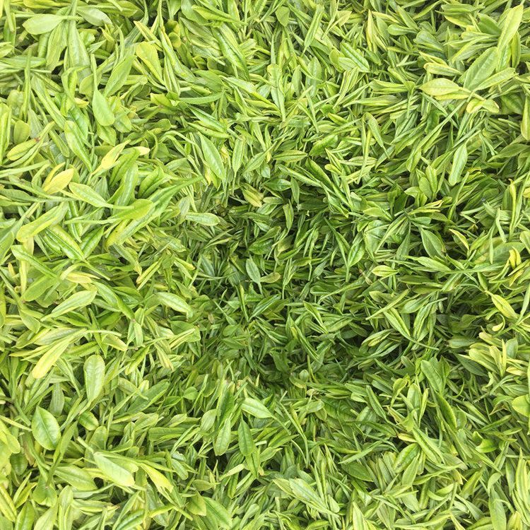 安吉白茶 清明前采摘一级茶 明前茶香醇浓郁 回味香甜 馈赠佳品_3d796f60.jpg