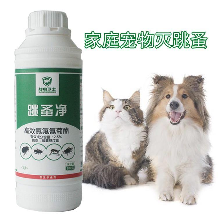 消灭跳蚤药，仓库车库杀虫用品战虫卫士跳蚤净_b5cddcaa.jpg