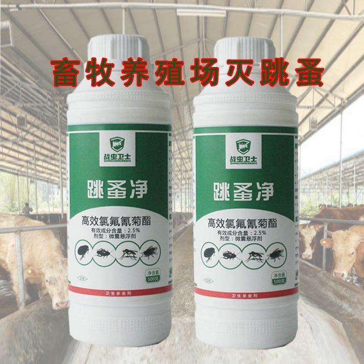 消灭跳蚤药，仓库车库杀虫用品战虫卫士跳蚤净.jpg