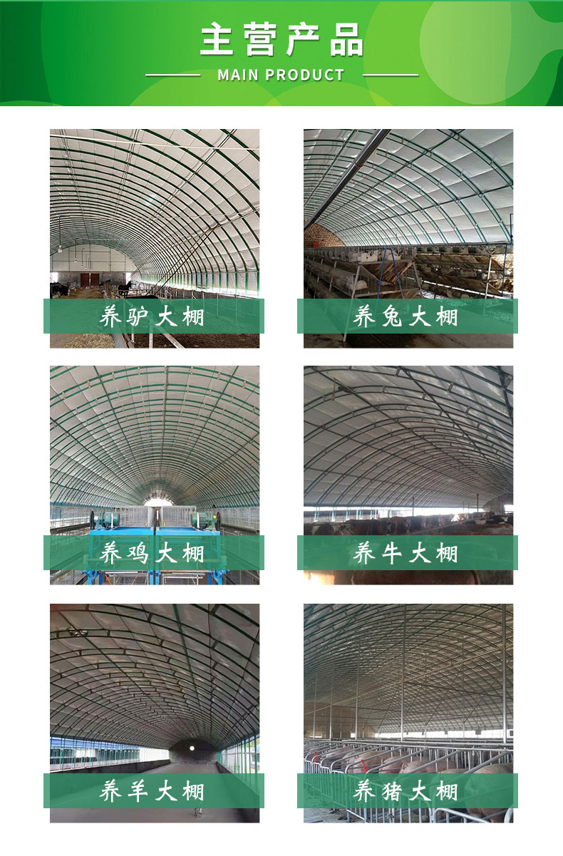 安装养鸡大棚 散养鸡棚建设 搭建简易养鸡棚 鸡舍大棚施工_b1347fd4.jpg