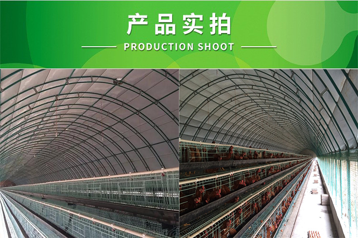 安装养鸡大棚 散养鸡棚建设 搭建简易养鸡棚 鸡舍大棚施工_7fca4505.jpg