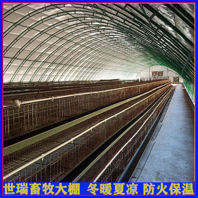 安装养鸡大棚 散养鸡棚建设 搭建简易养鸡棚 鸡舍大棚施工_aabd9e33.jpg