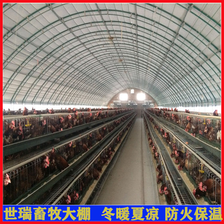 安装养鸡大棚 散养鸡棚建设 搭建简易养鸡棚 鸡舍大棚施工_9e172d35.jpg