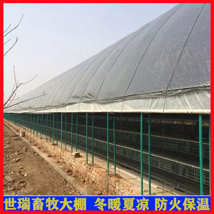 安装养鸡大棚 散养鸡棚建设 搭建简易养鸡棚 鸡舍大棚施工_e4a9bb1e.jpg