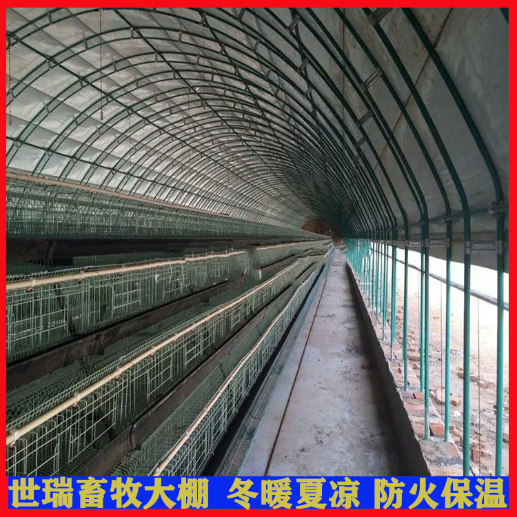 安装养鸡大棚 散养鸡棚建设 搭建简易养鸡棚 鸡舍大棚施工_ebf3f52f.jpg