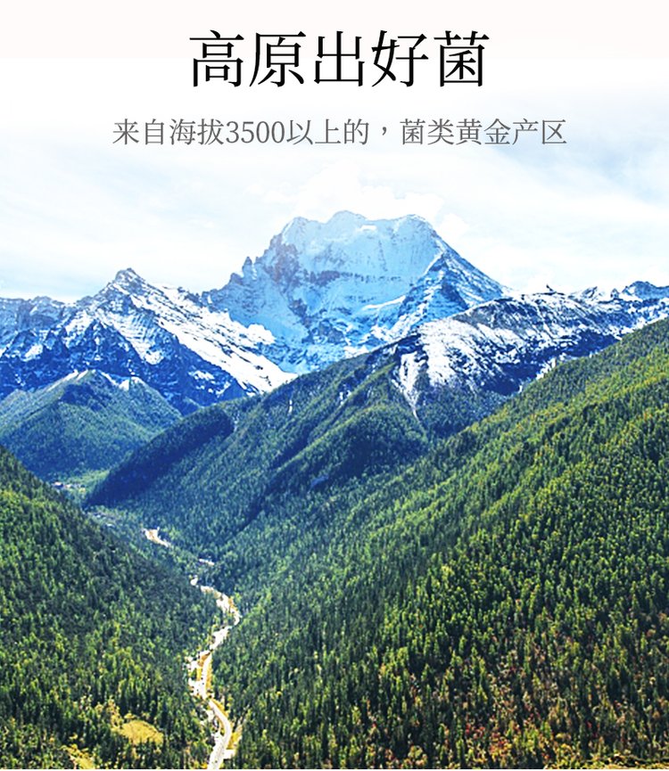 贡极高原天养松露 商务礼盒装 待客送礼 理想之选 现货批发 礼品_f2c1155d.jpg
