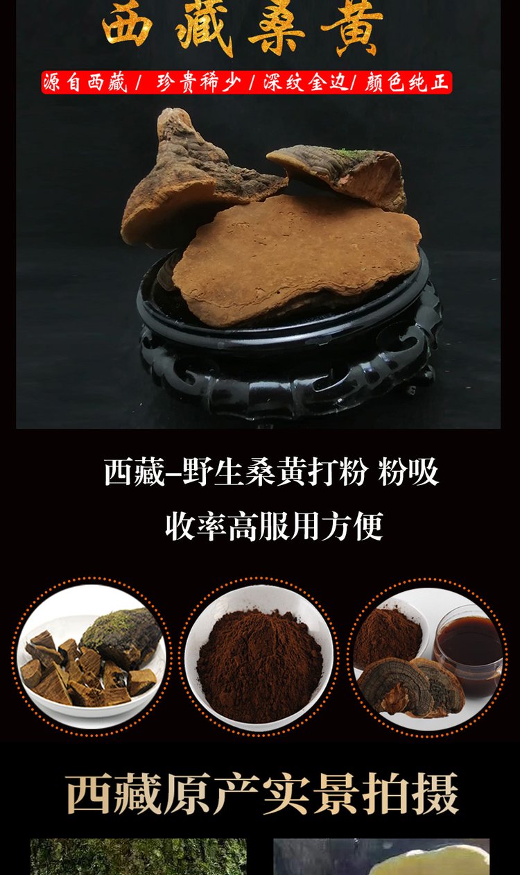 西藏纯桑树桑黄 灵芝整枝 西藏桑树桑黄一斤装（500克袋）_8a9492e2.jpg