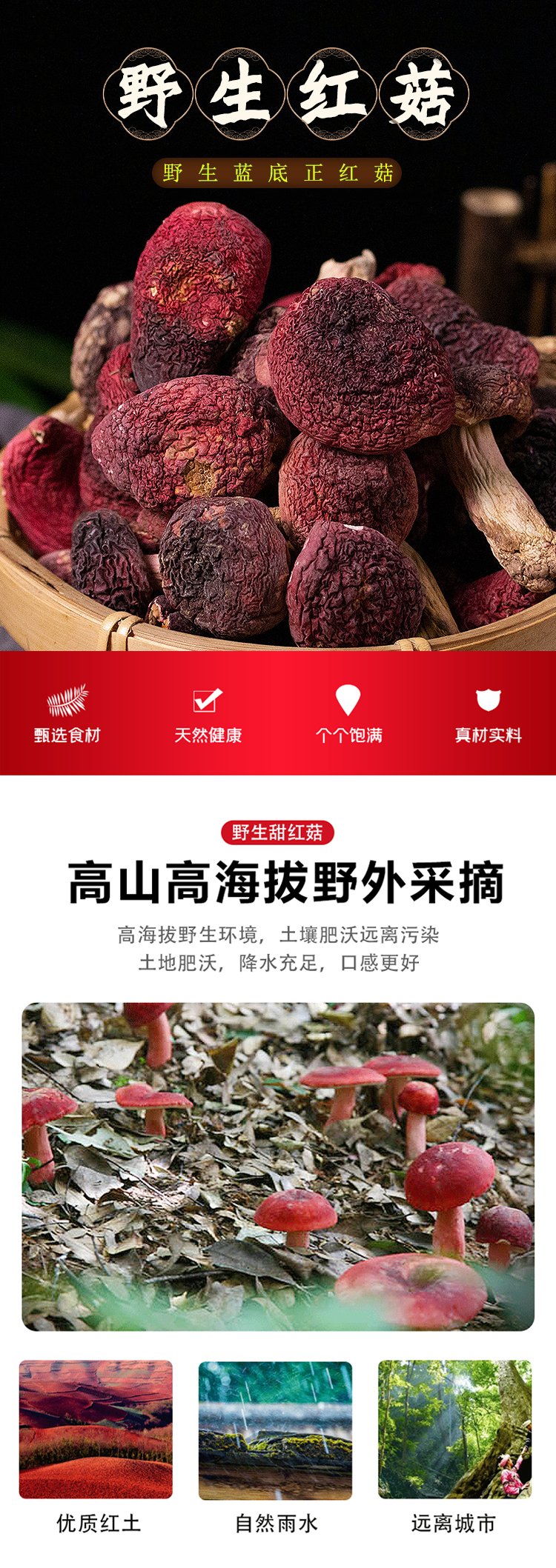 2022年纯野生红菇新货上市 正宗红蘑菇干货 肉厚无沙 颗颗精选_8d98b0a4.jpg