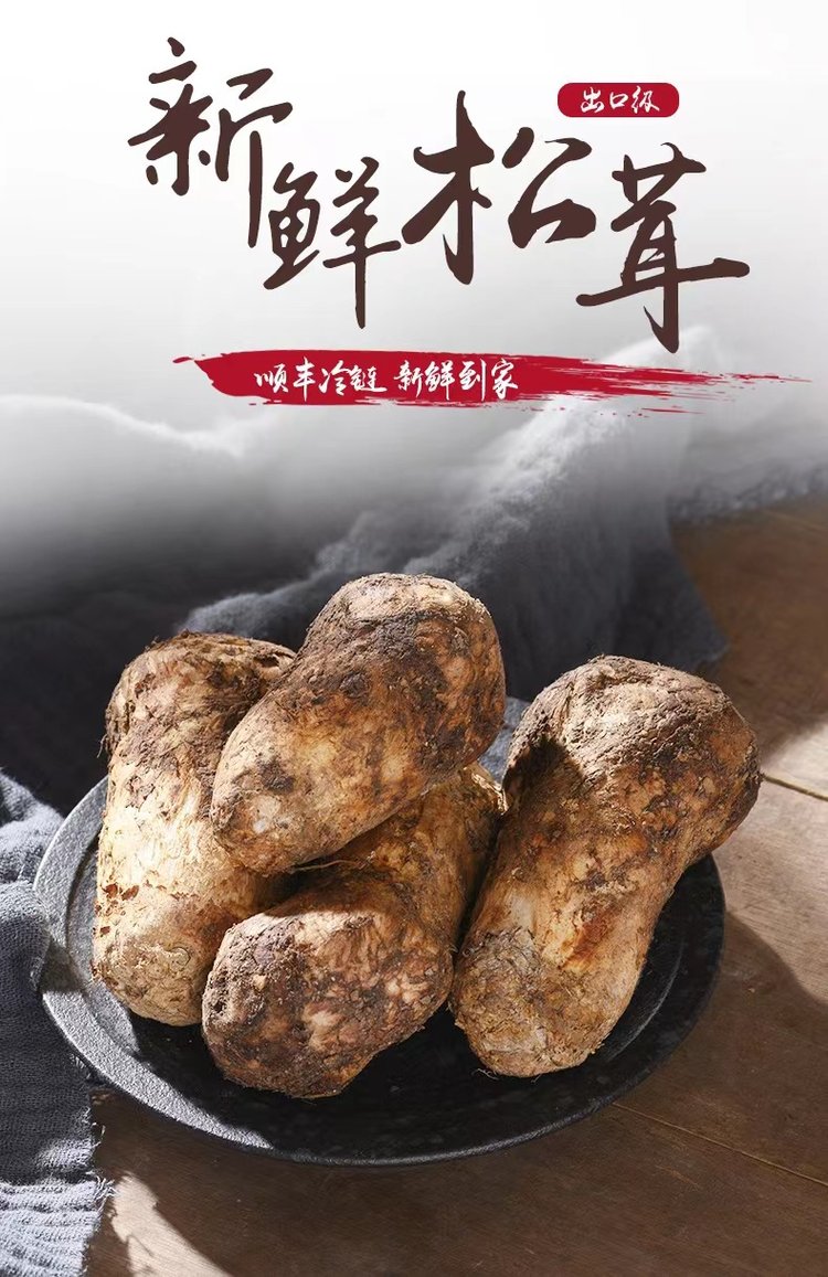 2022年新鲜松茸食用菌菇出口级不开伞500g 产地直发可一件代.jpg