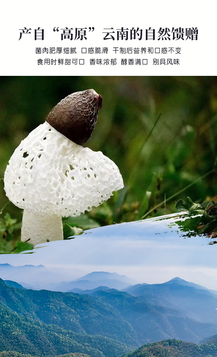 竹荪 20g 可食用菌类干货 煲汤食材 袋装不熏硫 库存充足_98563e69.png