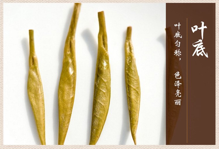 君山银针岳阳黄茶湖南特茶叶小镇茶_72ebf8eb.jpg