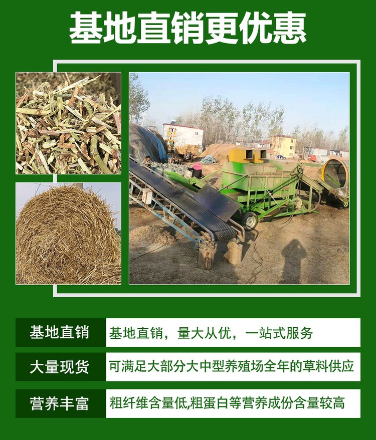 俊盛农业 牛羊草料过冬 动物养殖用新鲜麦草 大圆捆 纯小麦秸秆_3da234f5.jpg