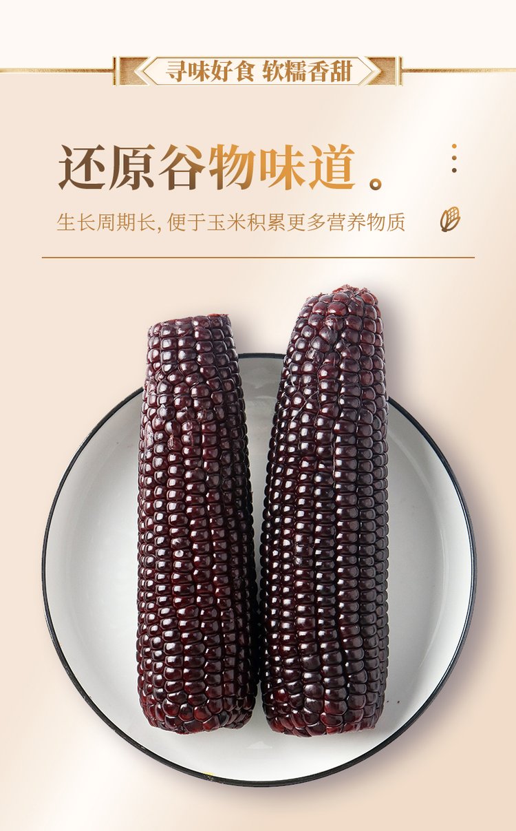 【燕之坊玉米】香甜黑糯玉米 五谷杂粮粗粮批发 鲜糯玉米热量低_b5eb352a.jpg