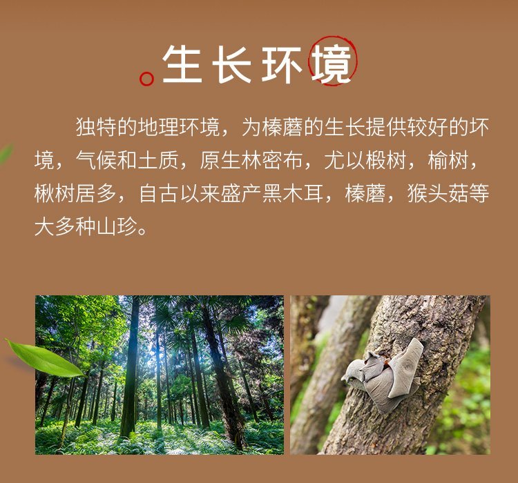蘑菇 东北菌菇贴牌代加工 黑龙江榛蘑元蘑滑子菇木耳香菇批发 东北_9f9adb22.jpg