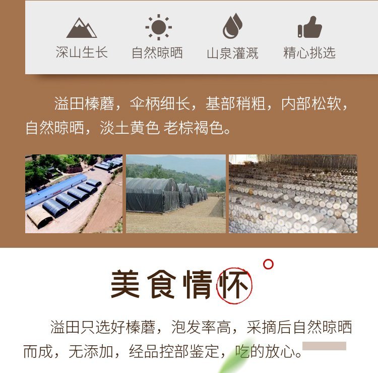 蘑菇 东北菌菇贴牌代加工 黑龙江榛蘑元蘑滑子菇木耳香菇批发 东北_19c13ccb.jpg