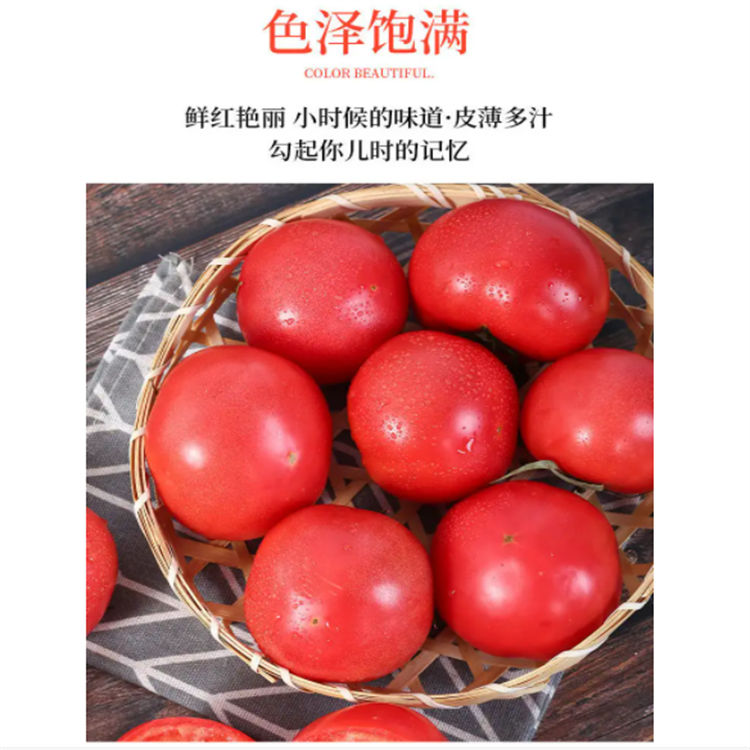 新鲜硬粉西红柿 酸甜可口 蔬菜配送 当天现摘发货 无催红剂_42c560fd.png
