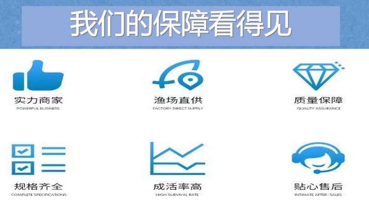 产地直供 中科五号鲫鱼，成品 湘云鲫 云贵川可送货 成活率高_6058c81c.jpg