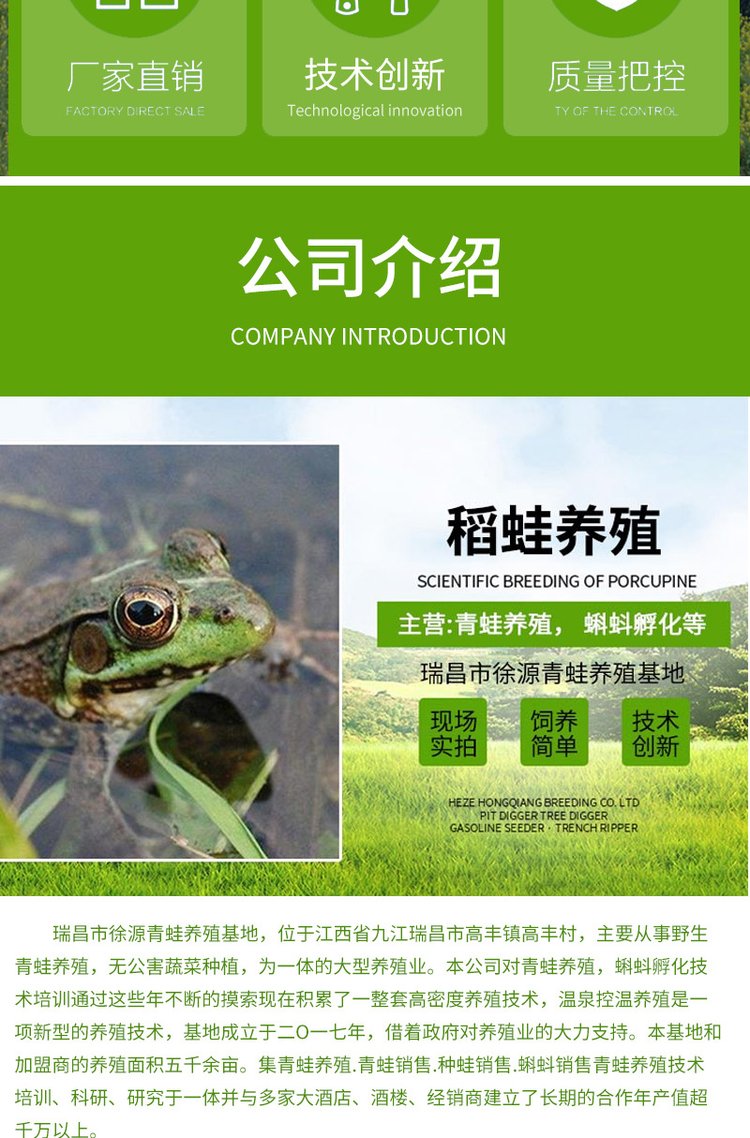 产地直供 青蛙苗 蝌蚪卵块 适应性强 支持各种运输 全年供应_e24b7679.jpg
