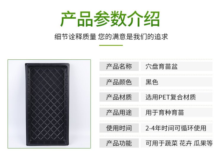 湛江育苗穴盘全国发货 水稻育秧苗.jpg